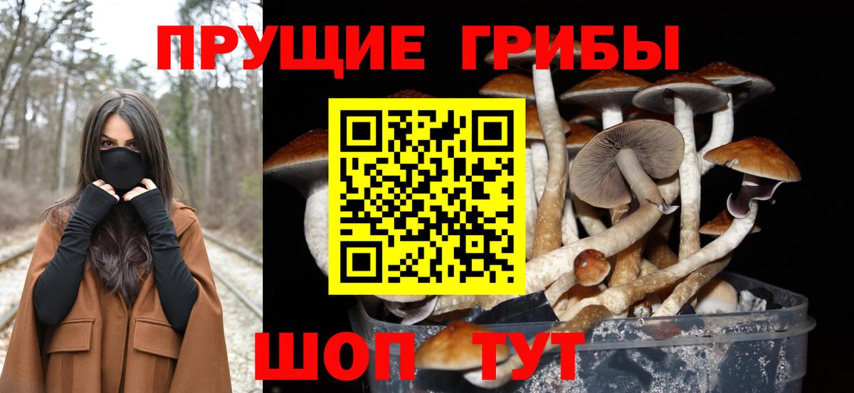 Галлюциногенные грибы прущие грибы  Вход с VPN  Беслан 