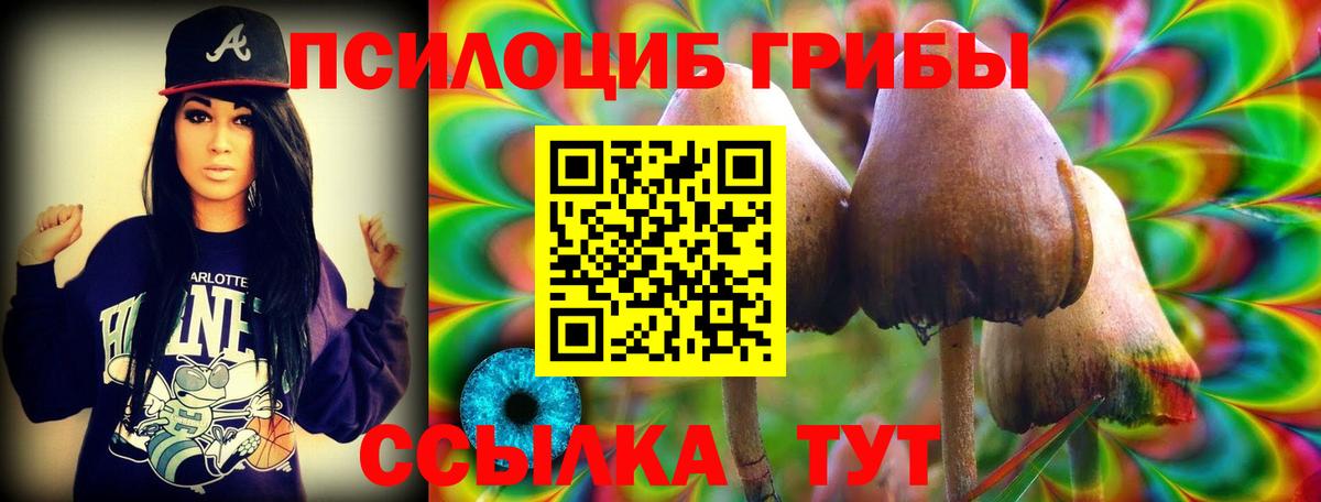 Галлюциногенные грибы GOLDEN TEACHER Беслан