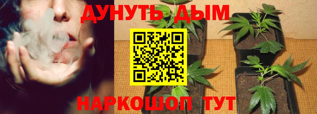 Беслан  Канабис индика  Вход с VPN  Конопля OG Kush  Каннабис семена 